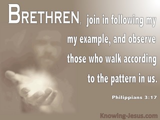 Philippians 3:17 Walk According To The Pattern In Us (brown)